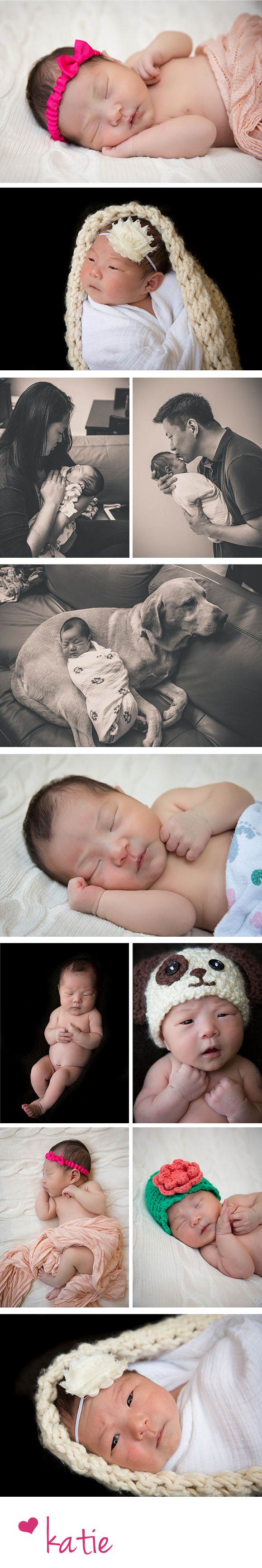 san francisco newborn photographer {katie rain}