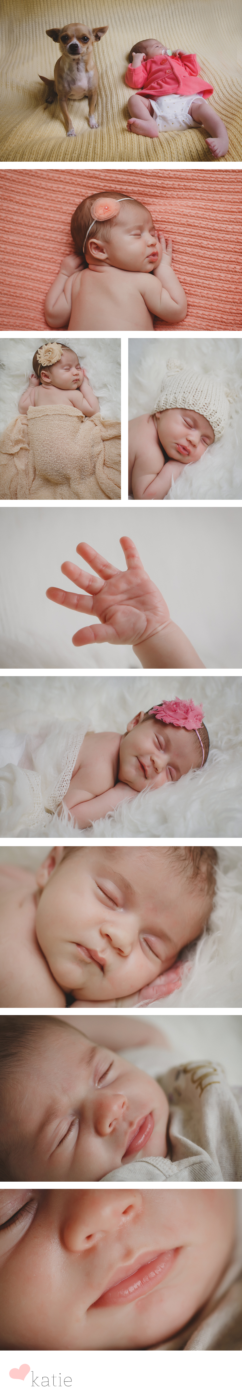 sf-newborn-photographer-babyAlexandra