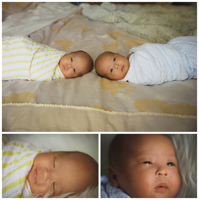 Newborn Photographer San Francisco_0380