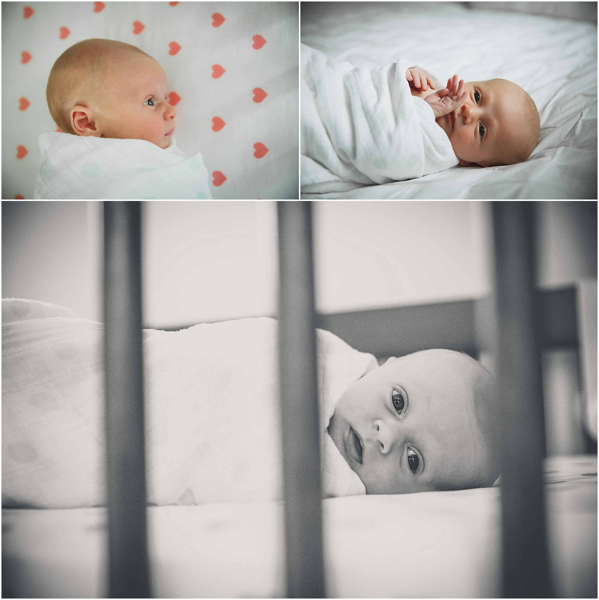 Milly-Valley-newborn-photography-02