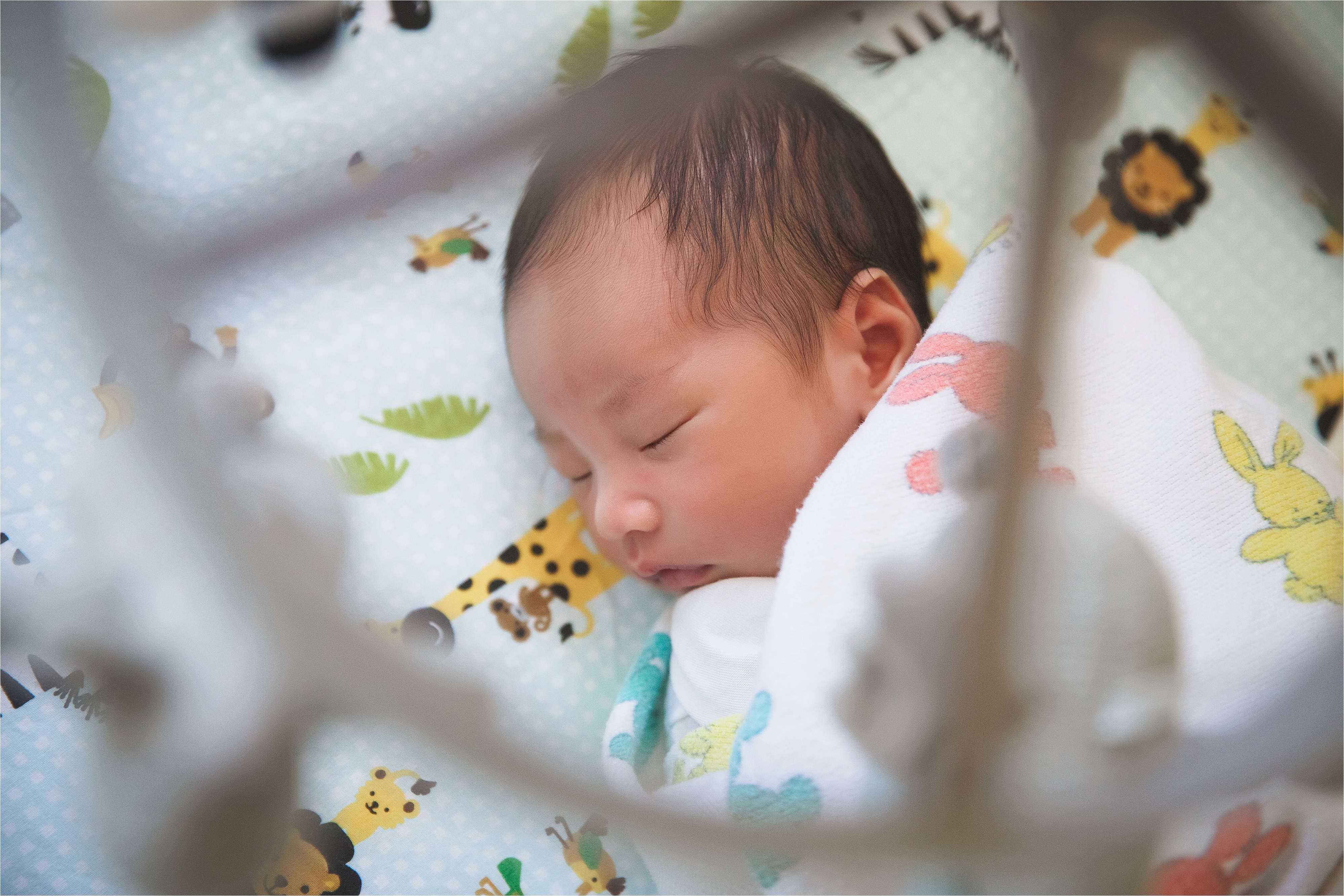 newborn-family-photography-1