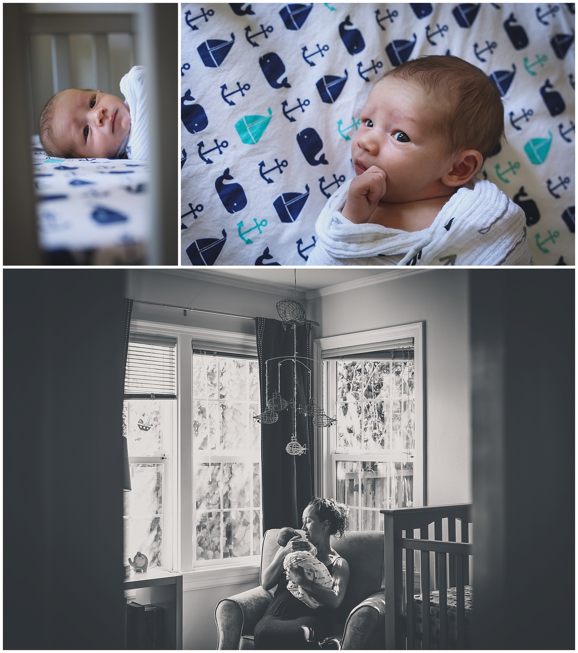 petaluma-newborn-family-photographer_0005