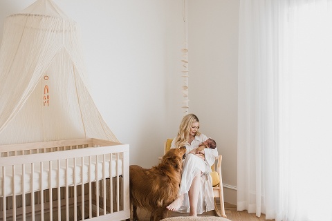 Home » San Francisco & New York Family Photographer | Katie Rain